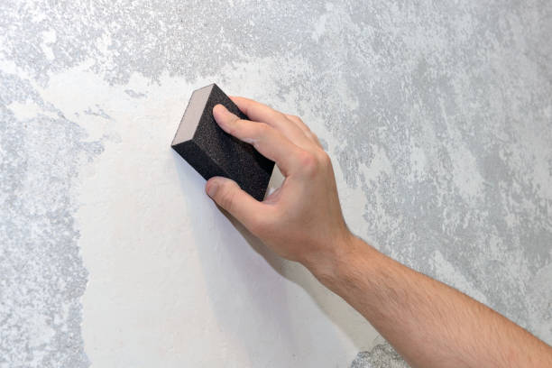 Mold Documentation for Insurance Claims in Wellsville, MO