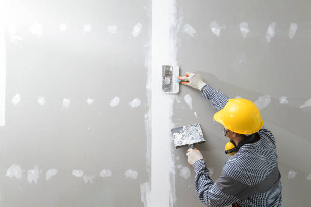Best Industrial Mold Remediation  in Wellsville, MO