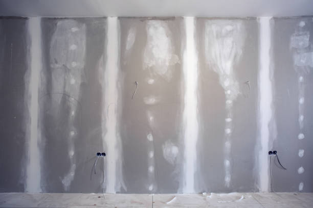 Best Airborne Mold Testing  in Wellsville, MO